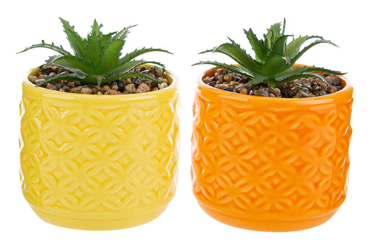 Bomboniera Vasetto in Ceramica Piantina Artificiale Le Stelle