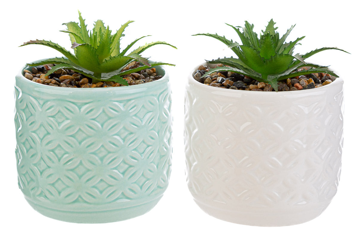 Bomboniera Vasetto in Ceramica Piantina Artificiale Le Stelle