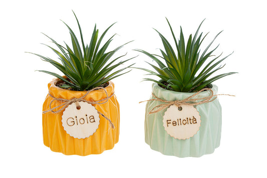 Bomboniera Vasetto in Ceramica Piantina Artificiale Le Stelle