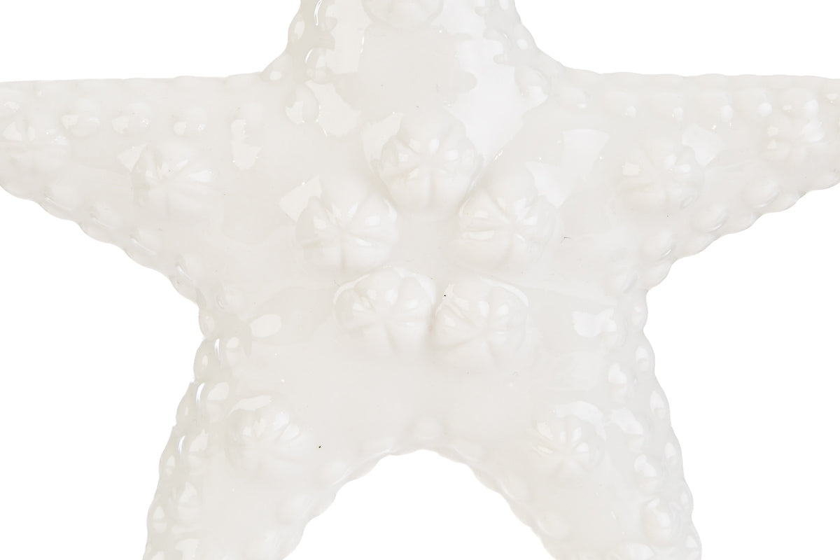 Bomboniera Stella Marina Porcellana Bianco Le Stelle