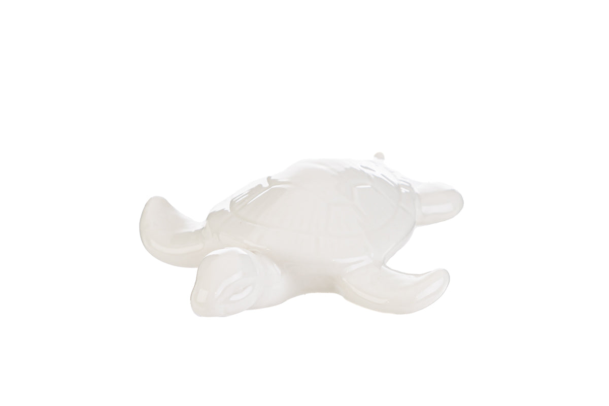 Bonbonnière Tortue de Mer en Porcelaine Blanche Le Stelle