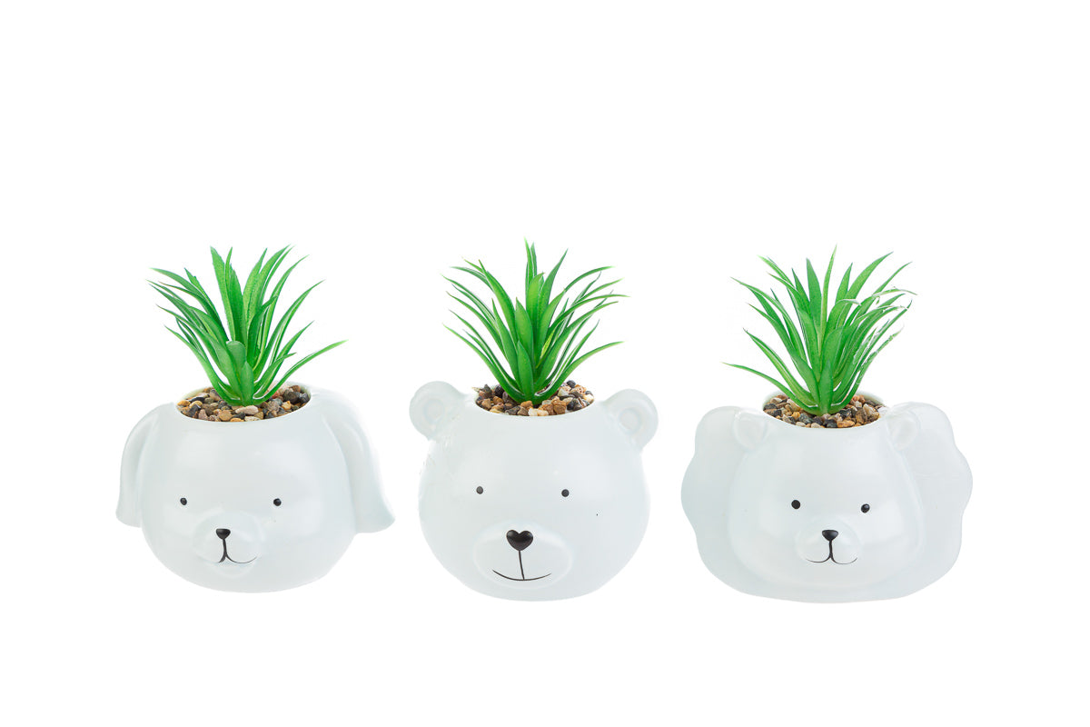 Favor Plant Animals Porcelain Medium The Stars
