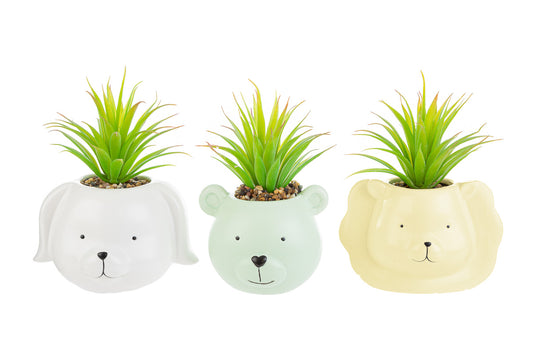 Bomboniera Piantina Animaletti Porcellana Le Stelle