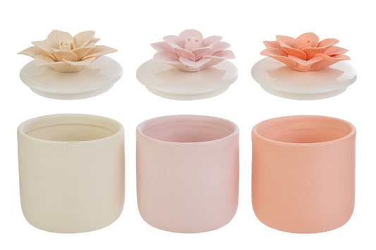 Bomboniera Scatola Fiore con Astuccio Le Stelle