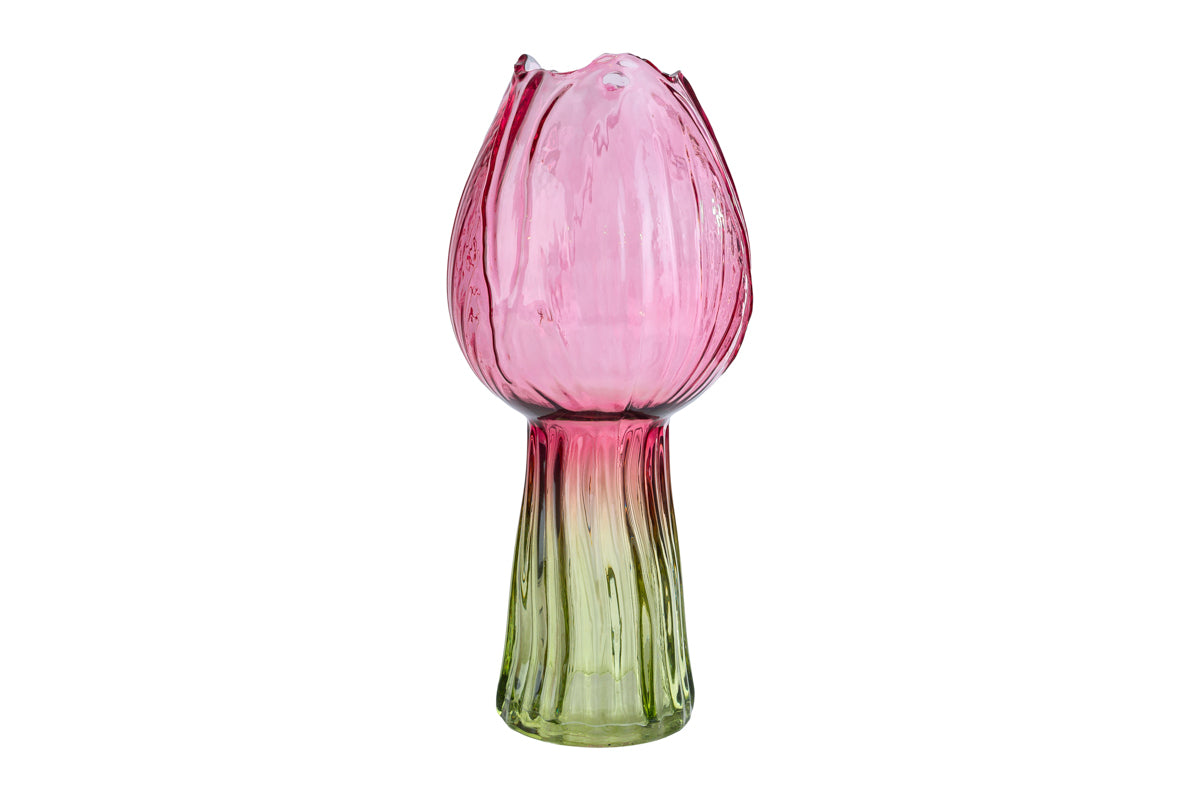 Bomboniera Vaso Vetro Tulipano con Box Regalo Le Stelle