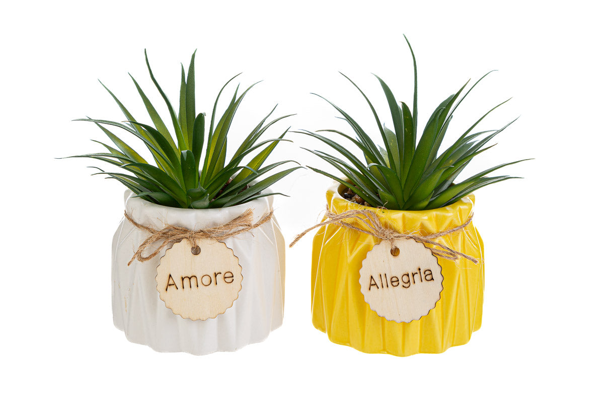 Favor Ceramic Vase Artificial Plant The Stars