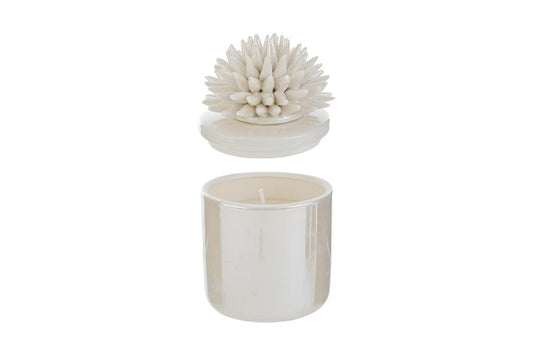 Bomboniera Candela Scatola con Corallo Porcellana Le Stelle con Astuccio
