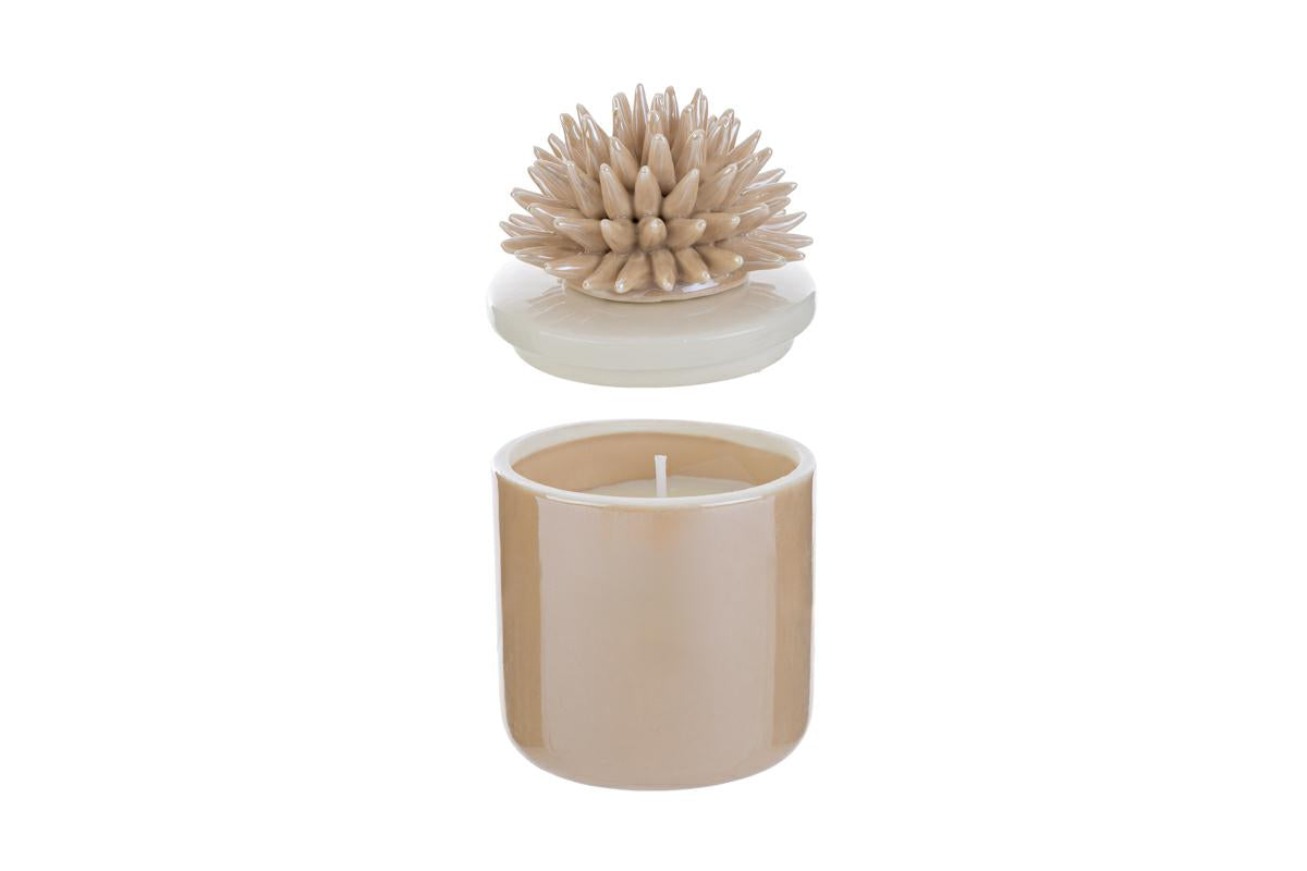 Bomboniera Candela Scatola con Corallo Porcellana Le Stelle con Astuccio