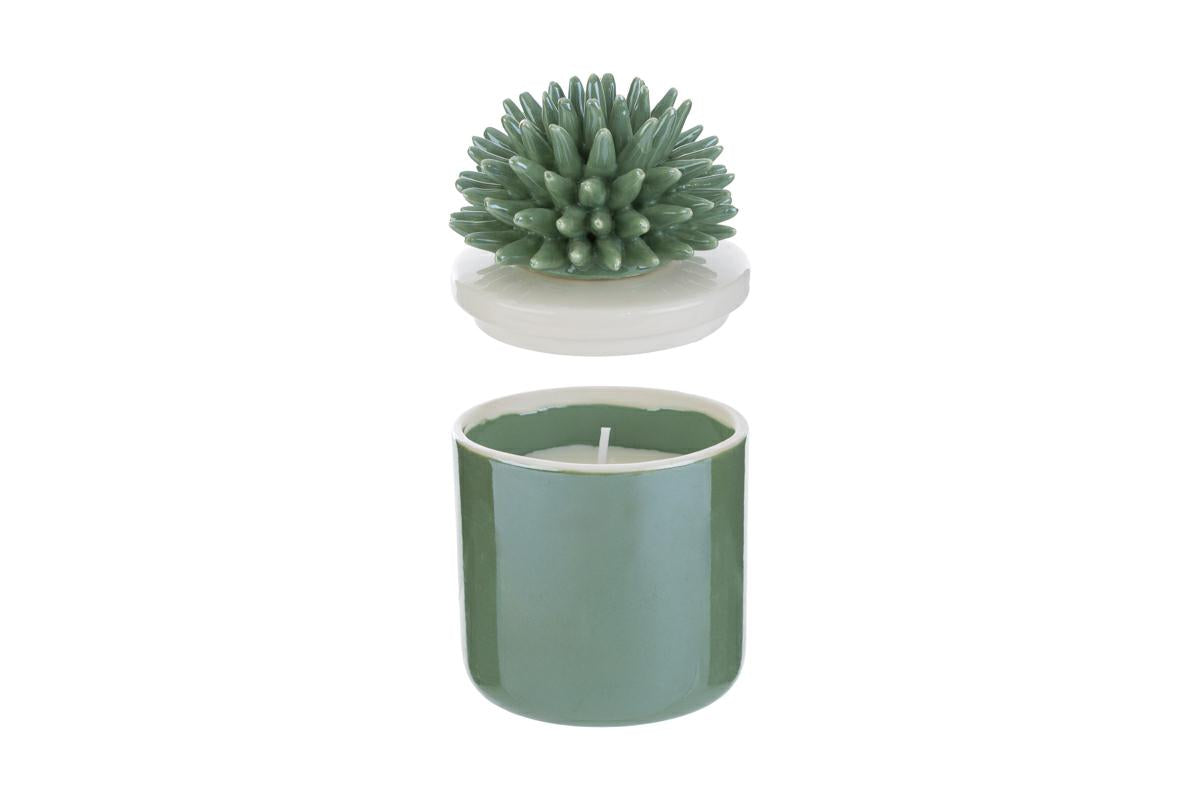 Bomboniera Candela Scatola con Corallo Porcellana Le Stelle con Astuccio