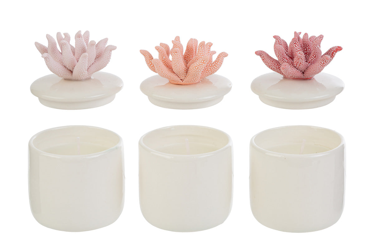 Bougie parfumée Le Stelle avec Shopper