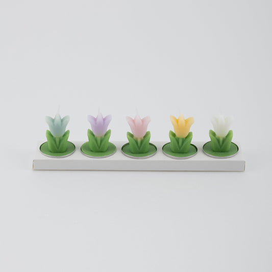 Favor Scented Candle The Stars with Shopper