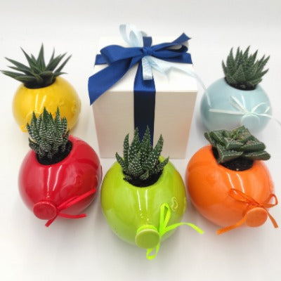 Faveur de pot de ballons étoiles assortis