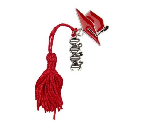 Porte-clés étoiles en résine et corne de remise de diplôme